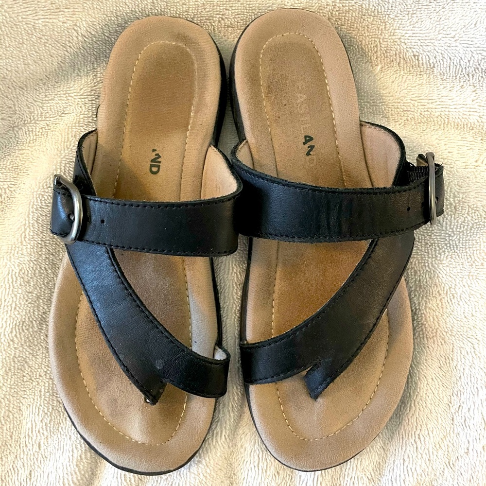Eastland Tahini II 7W